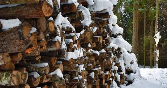 BFC Sawmill