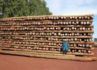 utility-poles