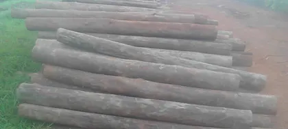 fencing posts