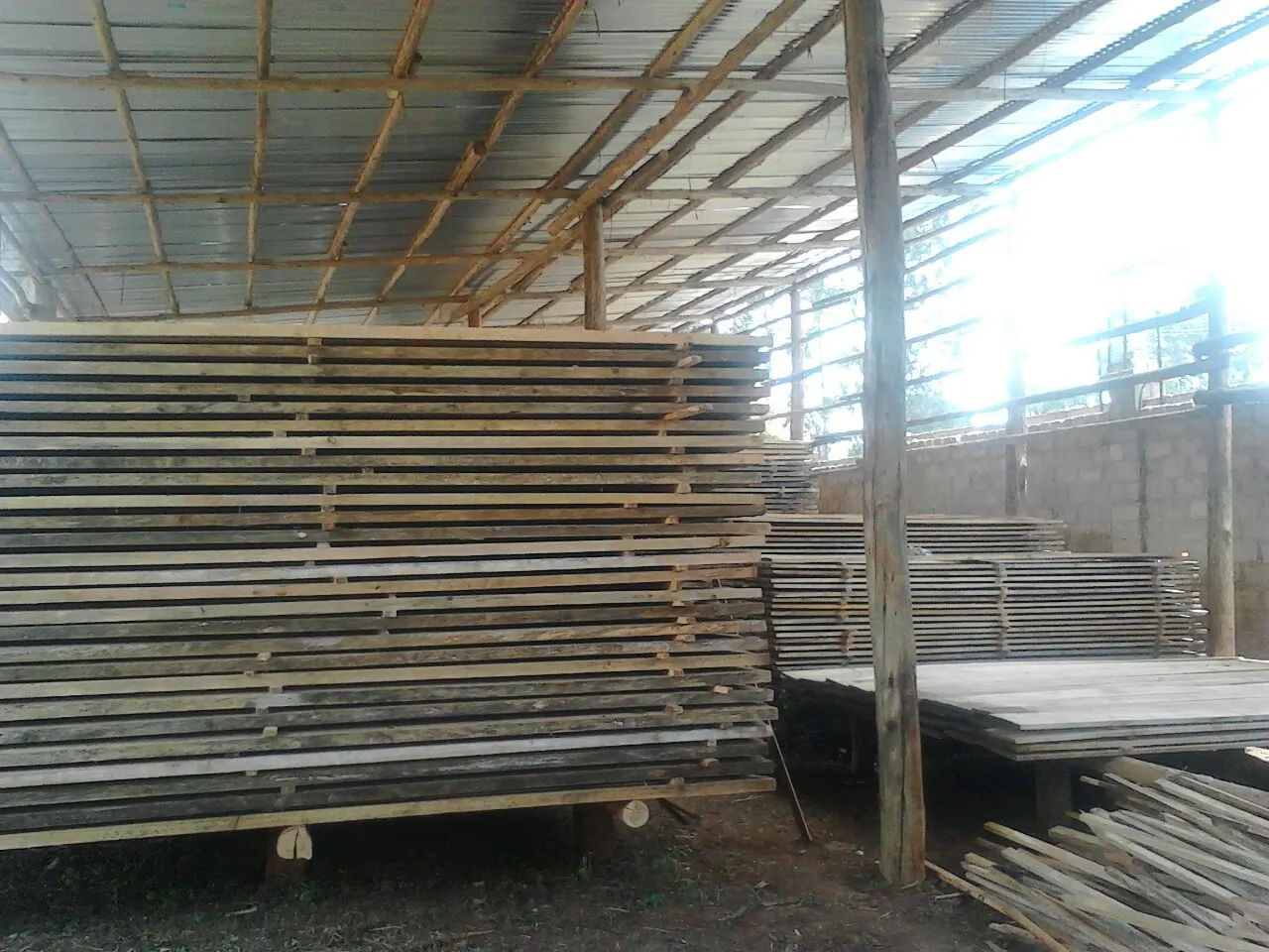 timber