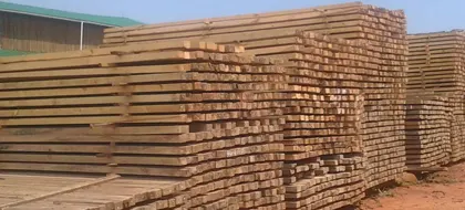 pine_timber